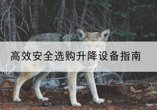 西岗升降货梯厂家推荐-*安全选购升降设备指南