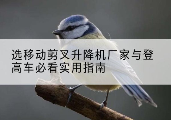 西岗电动升降机厂家-选移动剪叉升降机厂家与登高车必看实用指南