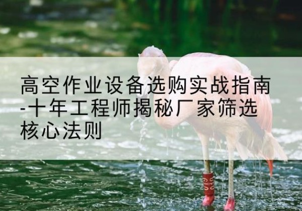 西岗剪叉式升降机厂家-高空作业设备选购实战指南-十年工程师揭秘厂家筛选核心法则